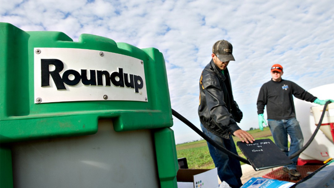 Monsanto en la mira cada vez más ciudades prohíben el glifosato tras