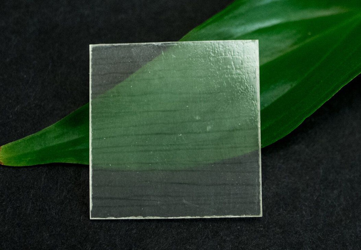 Material Innovador Crean Una Madera Transparente Que Promete