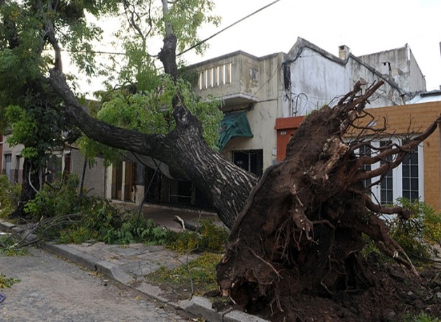 El trágico temporal dejó al menos 12 personas muertas más de 20