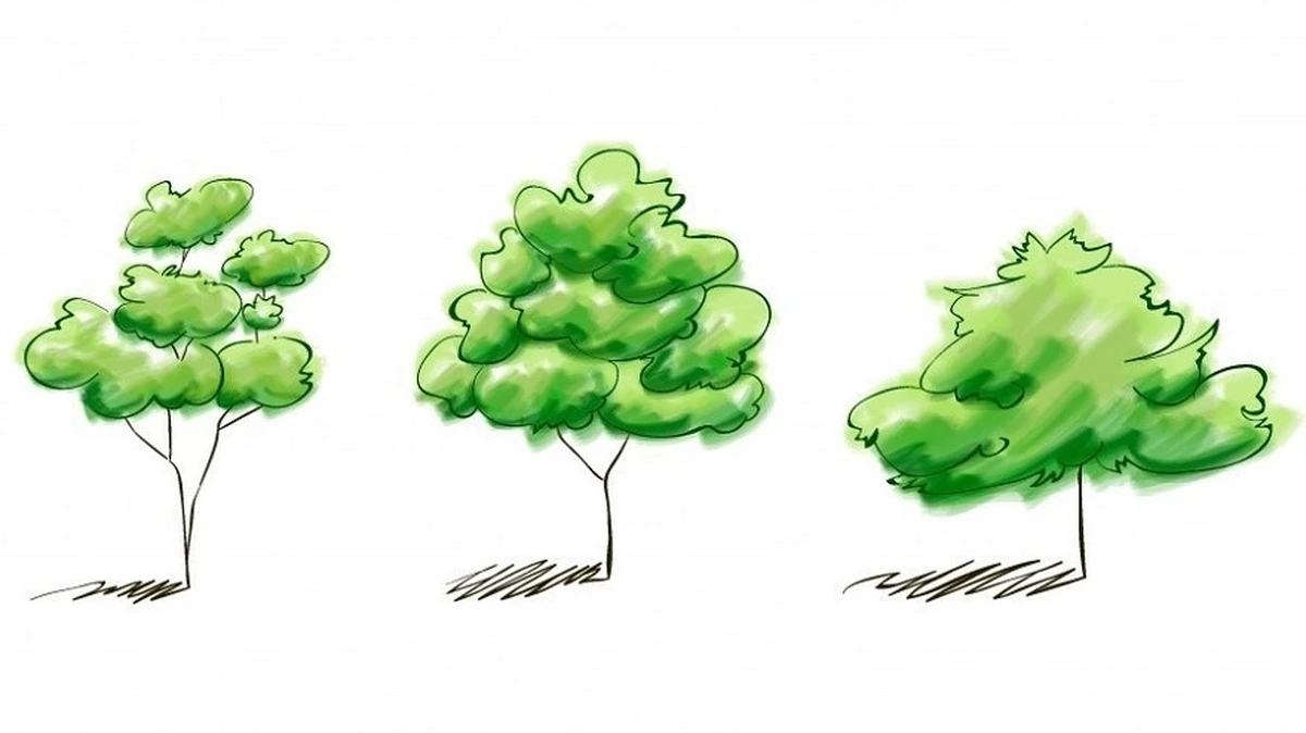 dibujos de arboles con ramas