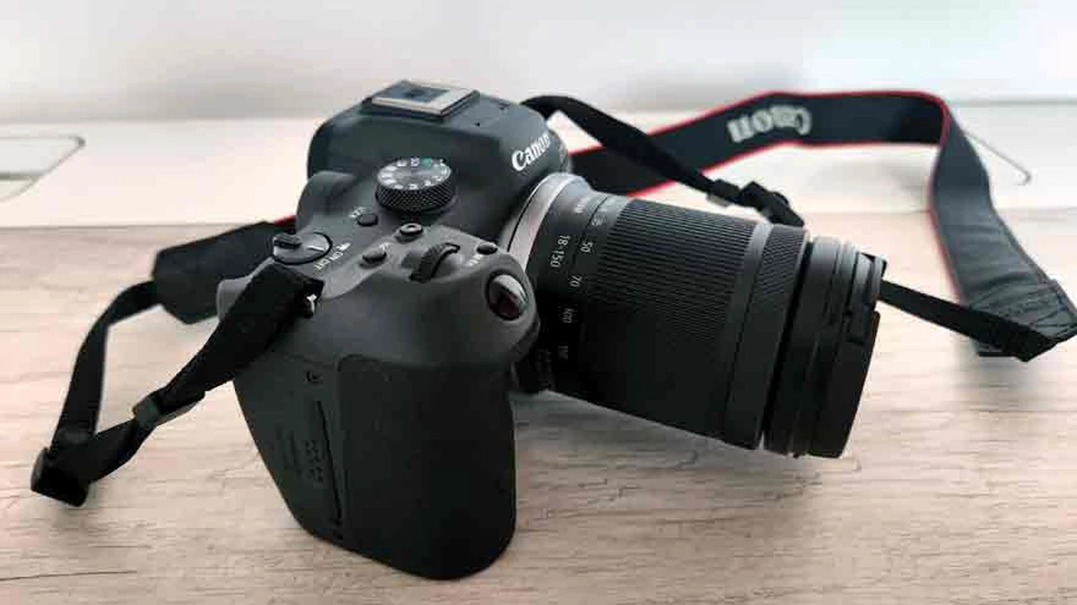 Review Sony a6600 - La cámara APS-C con mejor enfoque del mercado