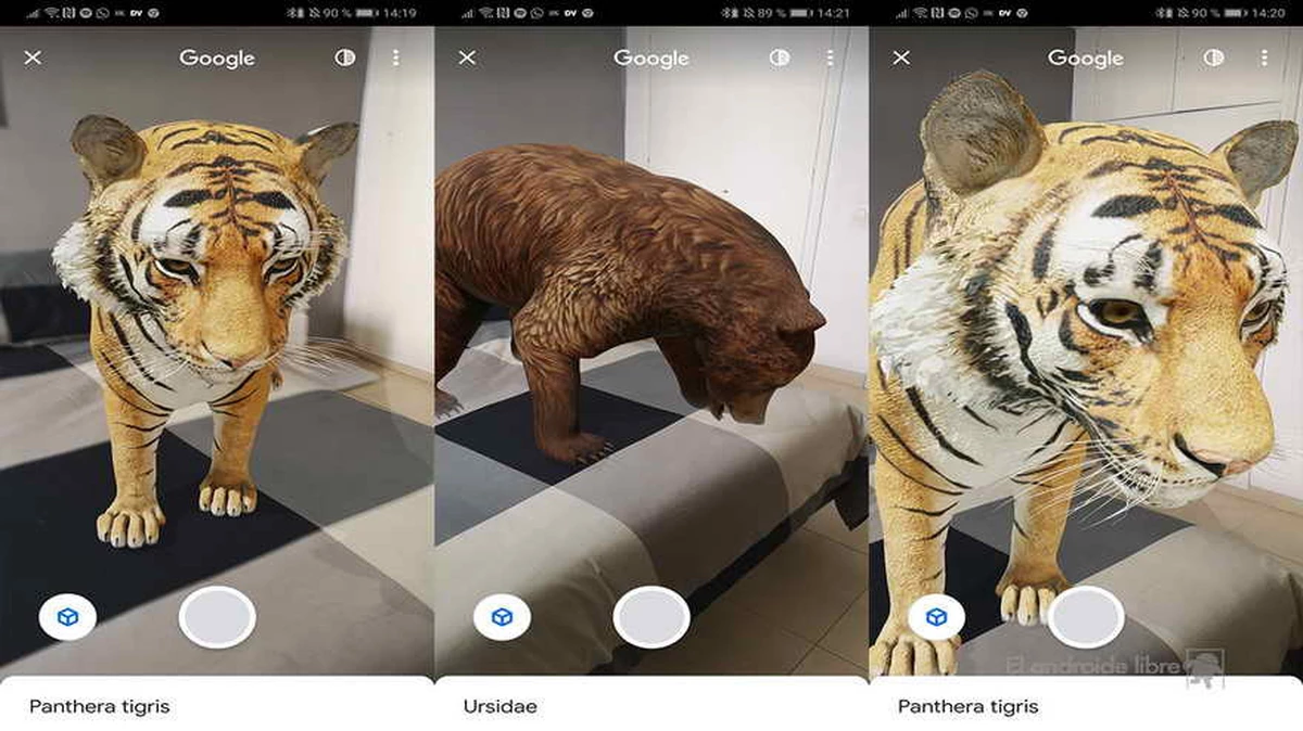 Realidad Aumentada de Google: Tigres, pandas y tiburones.
