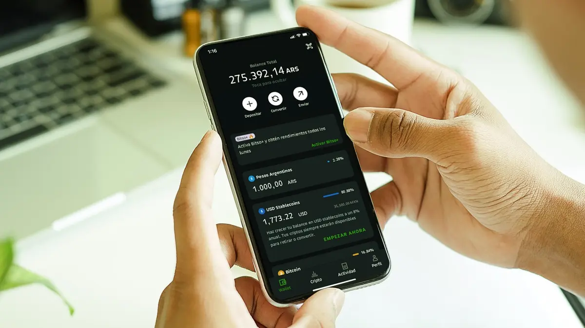 Pepe impulsa a las memecoins en Argentina: qué tener en cuenta antes de  invertir