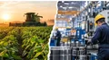 Reforma tributaria: qué provincias ya eximen al agro y la industria