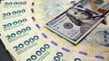 La demanda de dólares sigue alta: desde el fin del cepo compraron u$s57.400 millones