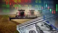 El campo tiene alta liquidez en dólares y regula el stock de soja