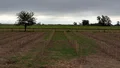 La historia del colectivero que ahora produce vino en Santa Fe