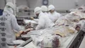 Tras 20 años, Argentina reabrió un mercado de carne de más de u$s3.000 millones anuales
