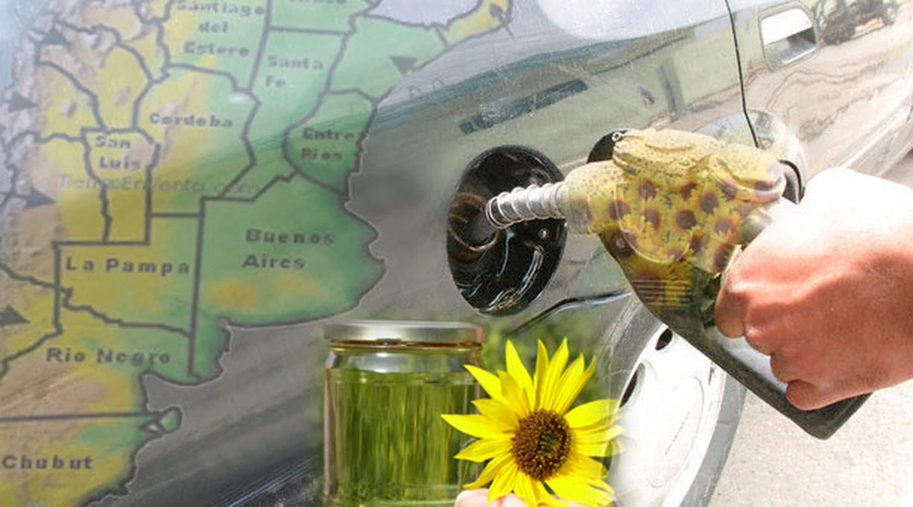 Dreyfus invertirá u$s40 M en la instalación de una planta de biodiesel en la Argentina