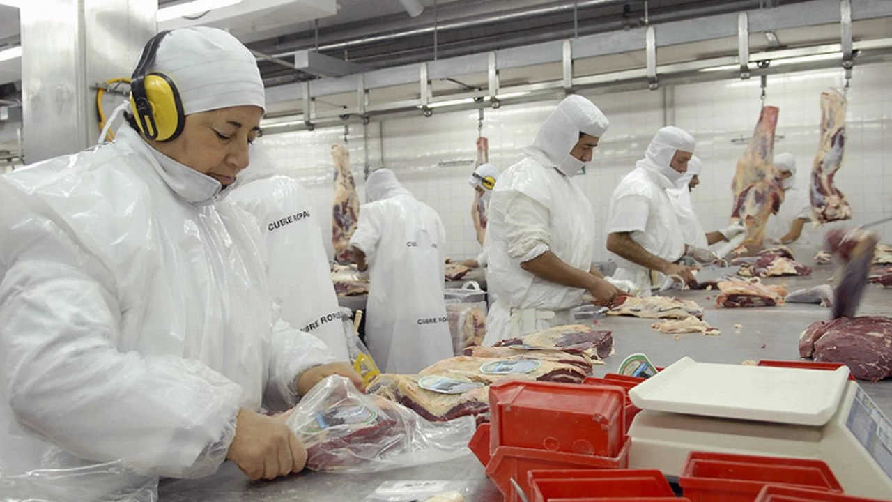 ¿Sin carne?: trabajadores de Frigoríficos inician plan de lucha y amenazan con paro si no hay aumento de sueldo