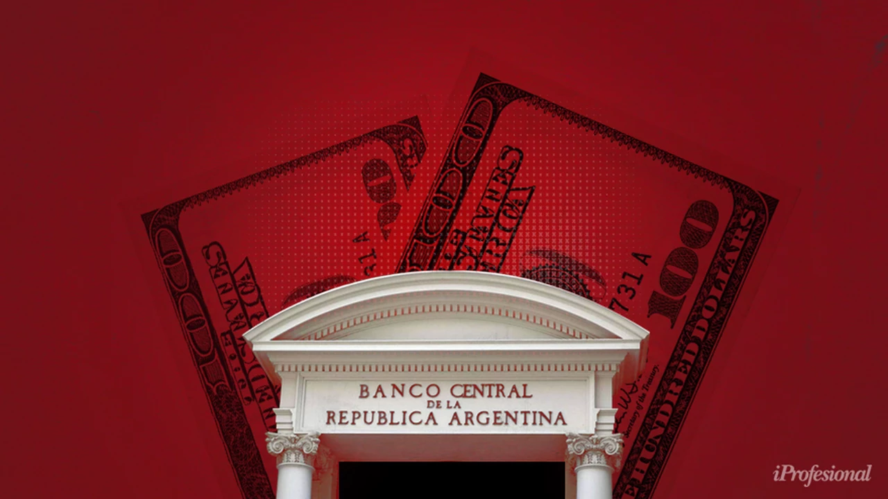 Sigue la sangría de dólares del Banco Central: qué factores le juegan en contra y cuánto puede perder este mes