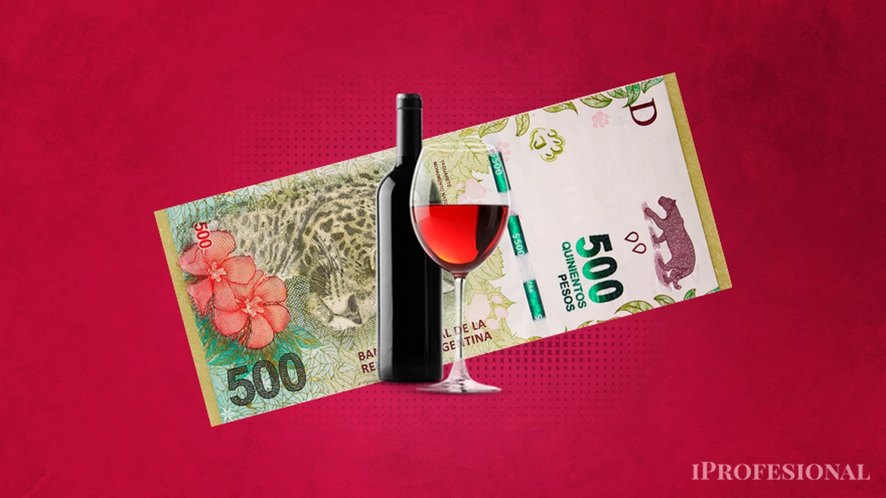 Cuánta plata puede ganar un experto en vinos en Argentina: sueldo de un sommelier