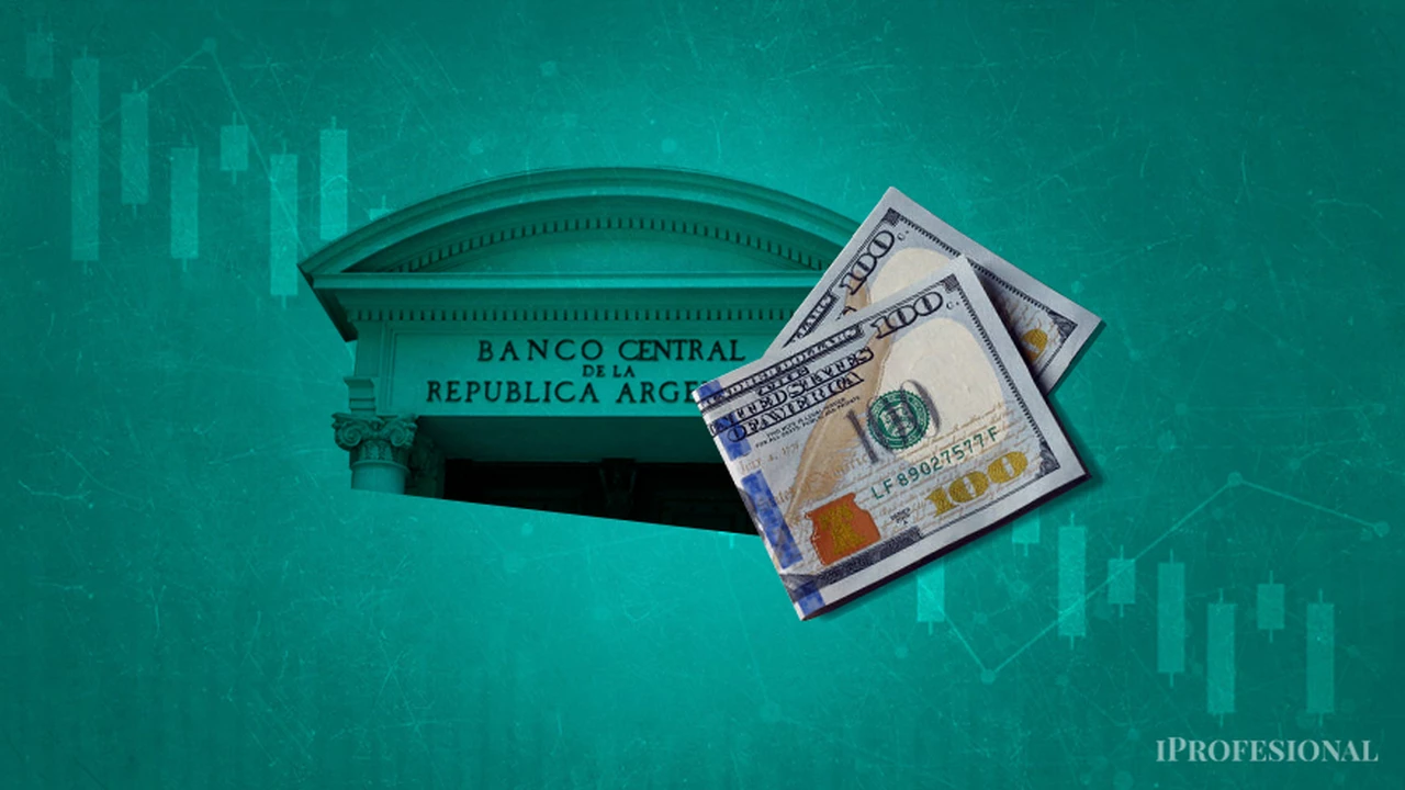El BCRA frenó la devaluación en enero pero perdió reservas: ¿qué puede pasar con el precio del dólar este mes?