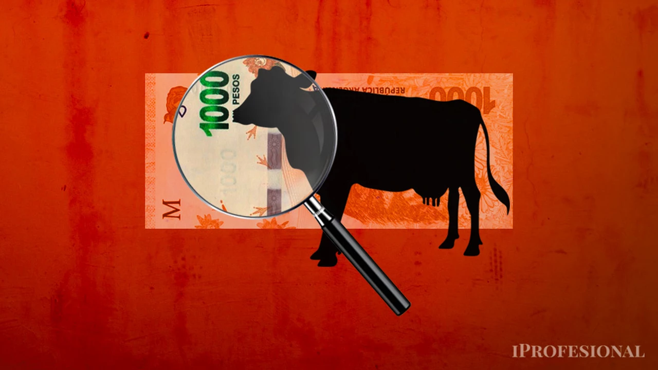 El precio del ganado bovino subió casi un 30% en un mes: ¿cómo se trasladará a la carne en las góndolas?