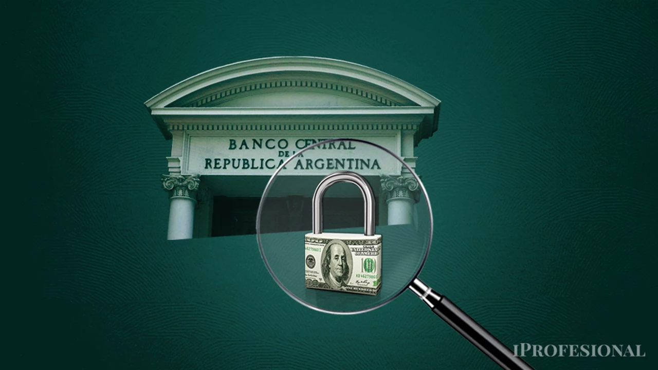 Cepo al dólar: nueva medida que determinó el Banco Central alivia una de las trabas