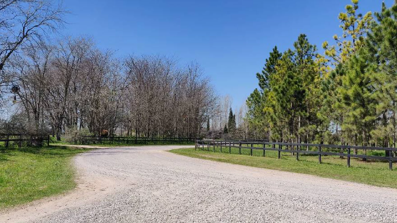 Cuánto valen los lotes en el exclusivo barrio que desarrolla Adolfo Cambiaso para amantes del polo