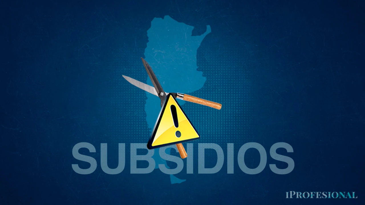 Qué dudas persisten sobre la poda de los subsidios energéticos y cuántos hogares se verían afectados