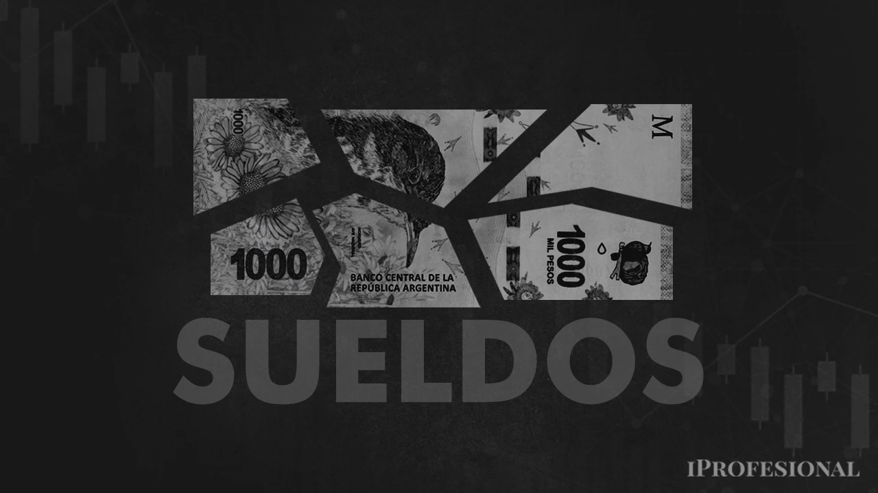 Los sueldos en blanco ya perdieron 24% de su valor: ¿cuál es el salario promedio de los argentinos?