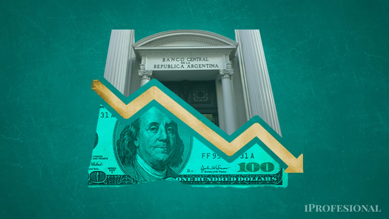 El salto del dólar ya se hace sentir: el Banco Central registró la menor compra del mes