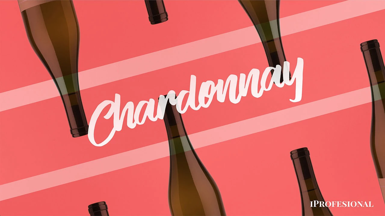 El ABC del Chardonnay y 25 vinos de diferentes terruños que debés probar