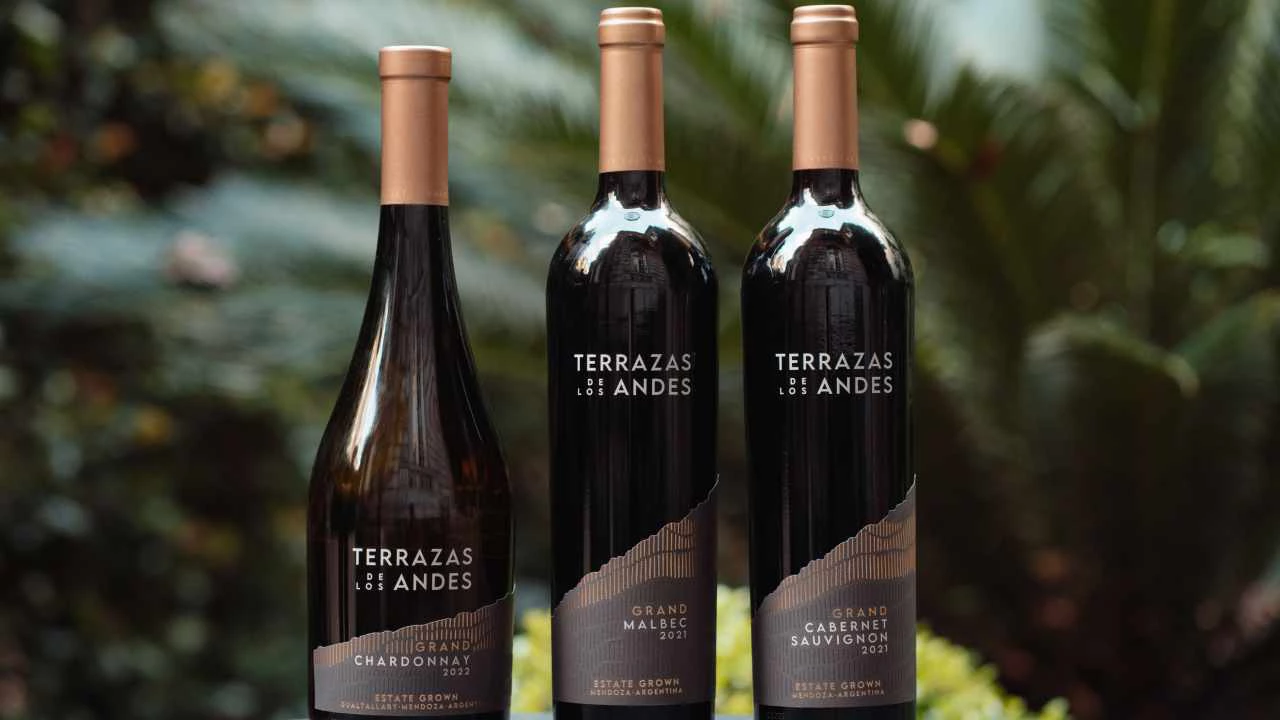 Vinos: así son las nuevas cosechas de la línea Grand de Terrazas de los Andes