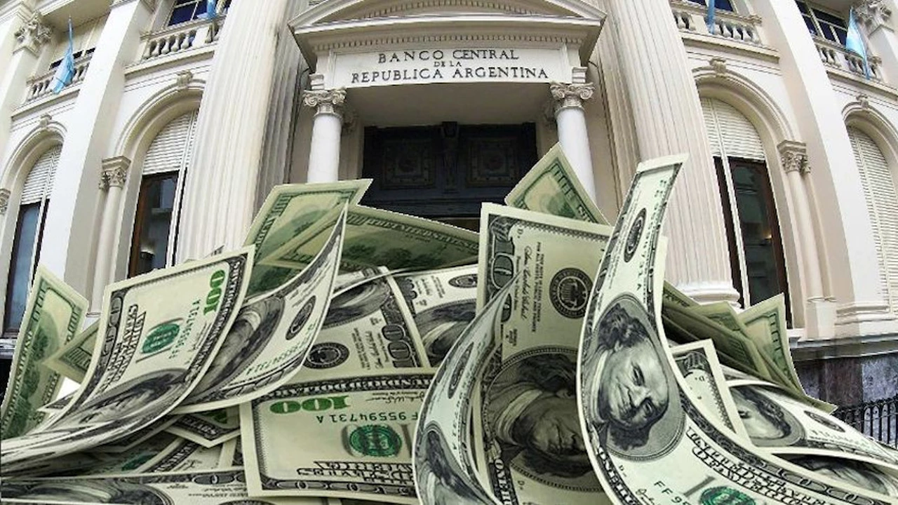 Preocupante: cómo impacta en el blue la "quema" de dólares del Banco Central