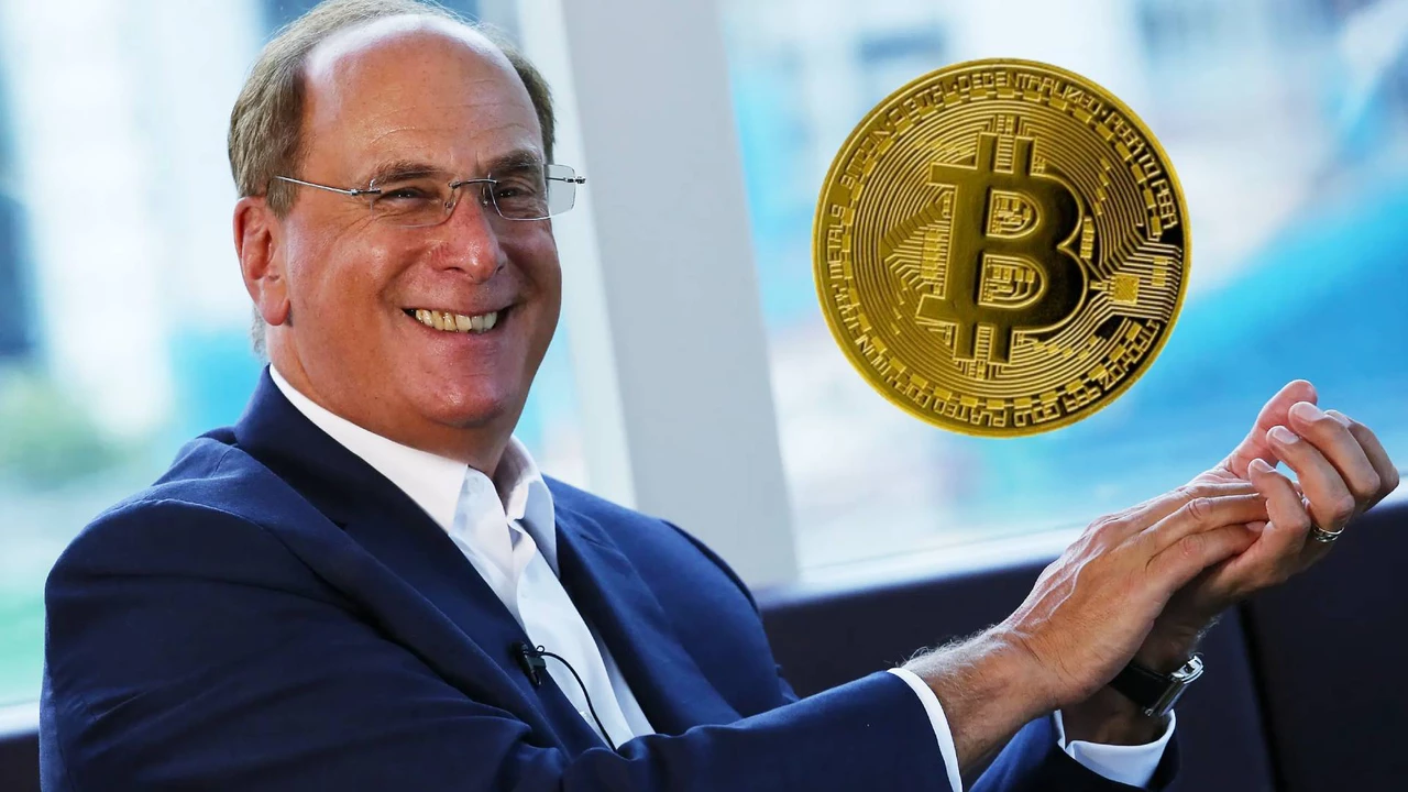 ¿Se viene una crisis económica global y Bitcoin servirá como refugio?: la opinión del CEO de BlackRock lo cree