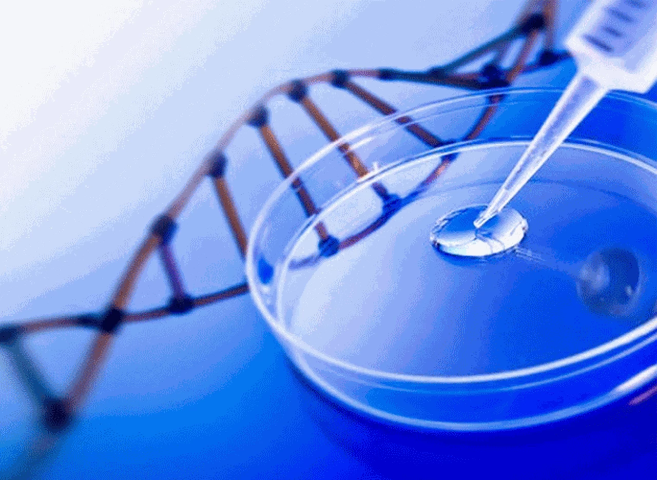 El ADN podrí­a ser patentado si así­ lo decide la Justicia de Estados Unidos