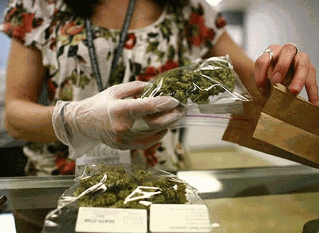 En Uruguay se podrán comprar 40 gramos de marihuana al mes en farmacias