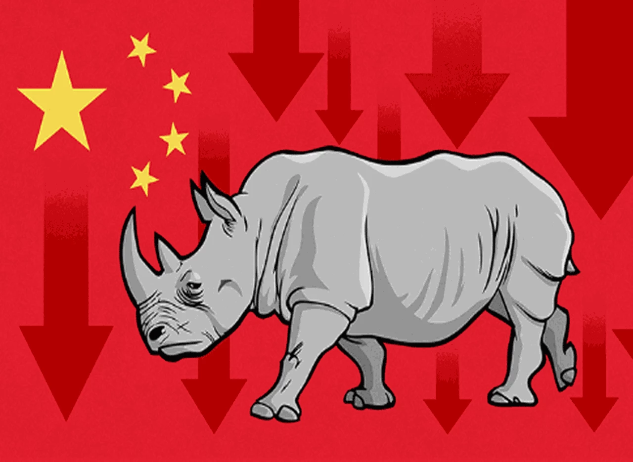 ¿Por qué un "rinoceronte gris" causó la importante caí­da de las acciones en la bolsa China?