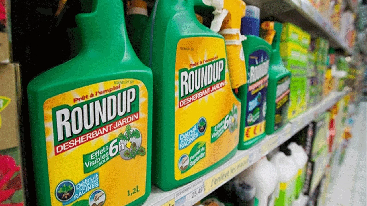 Acciones de Bayer se desploman un 10% tras la condena a Monsanto en los Estados Unidos