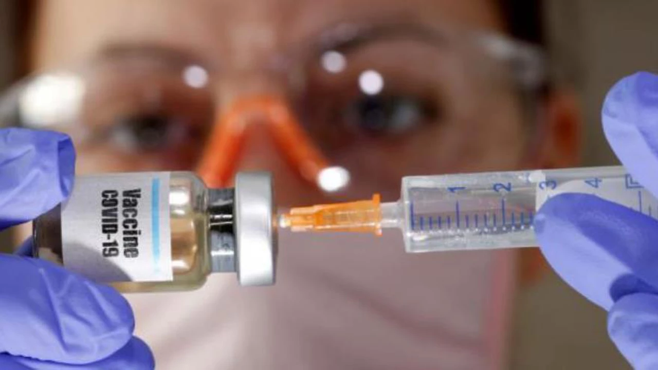 Hay fecha: laboratorios revelan cuándo estará disponible vacuna contra coronavirus en Argentina