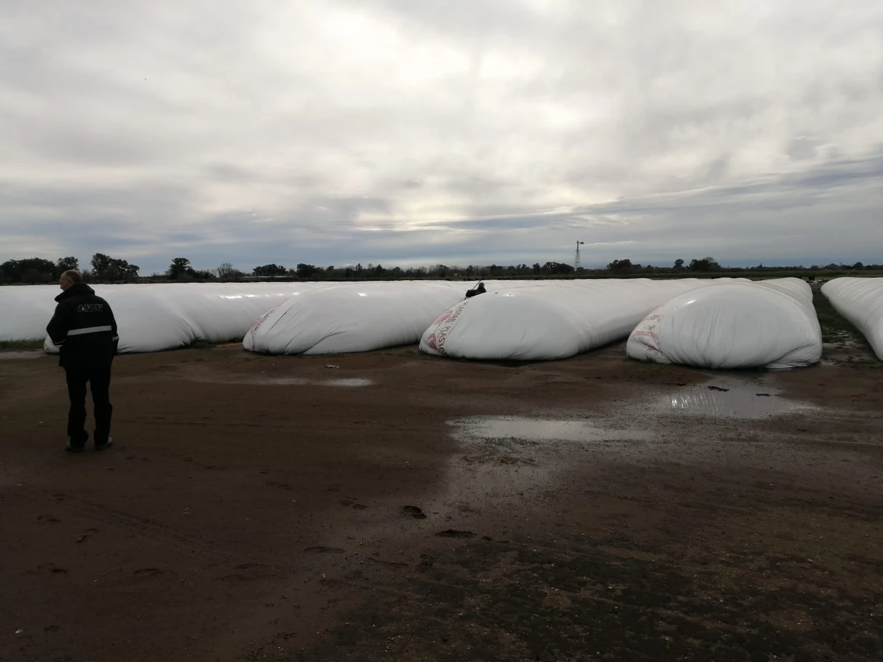 La AFIP incautó casi 7000 toneladas de granos "no declarados" en silobolsas