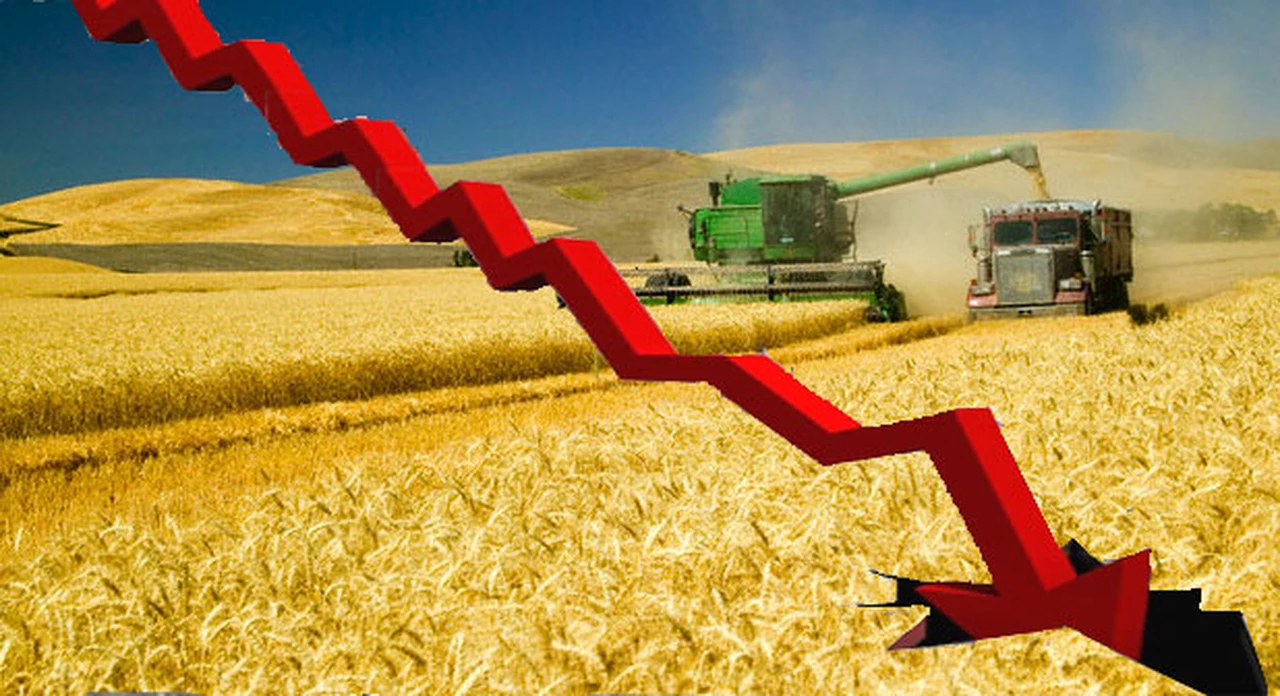 Alertan que la Argentina está a un paso de verse obligada a importar trigo