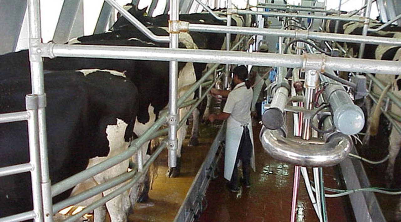 Cuelgan el cartel de venta a otro í­cono de la industria láctea