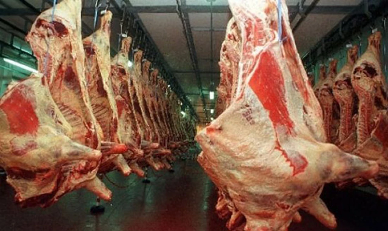 La exportación de carne argentina cayó un 54% en los últimos tres años