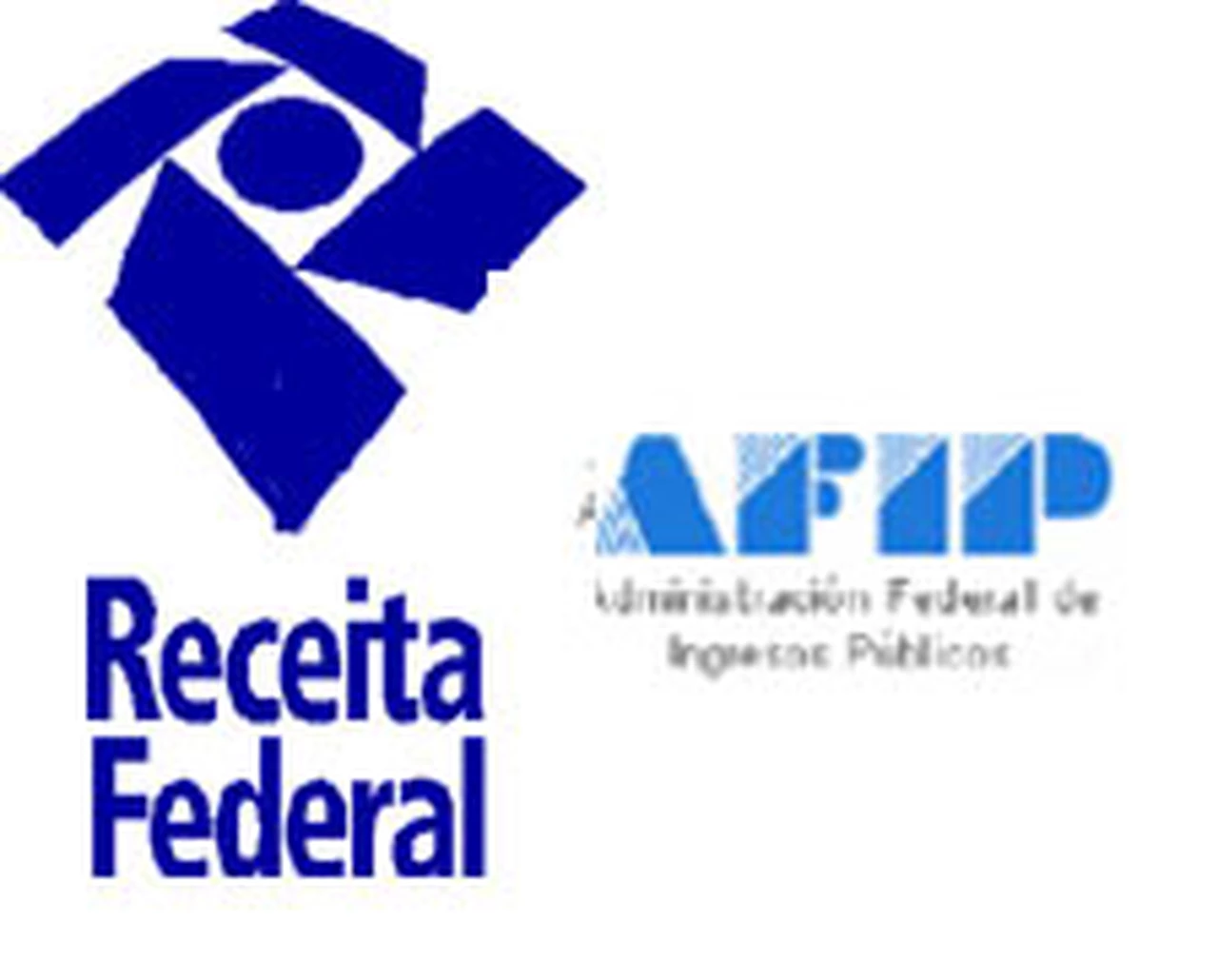 Organismos fiscales de la Argentina y Brasil aliados contra la evasión