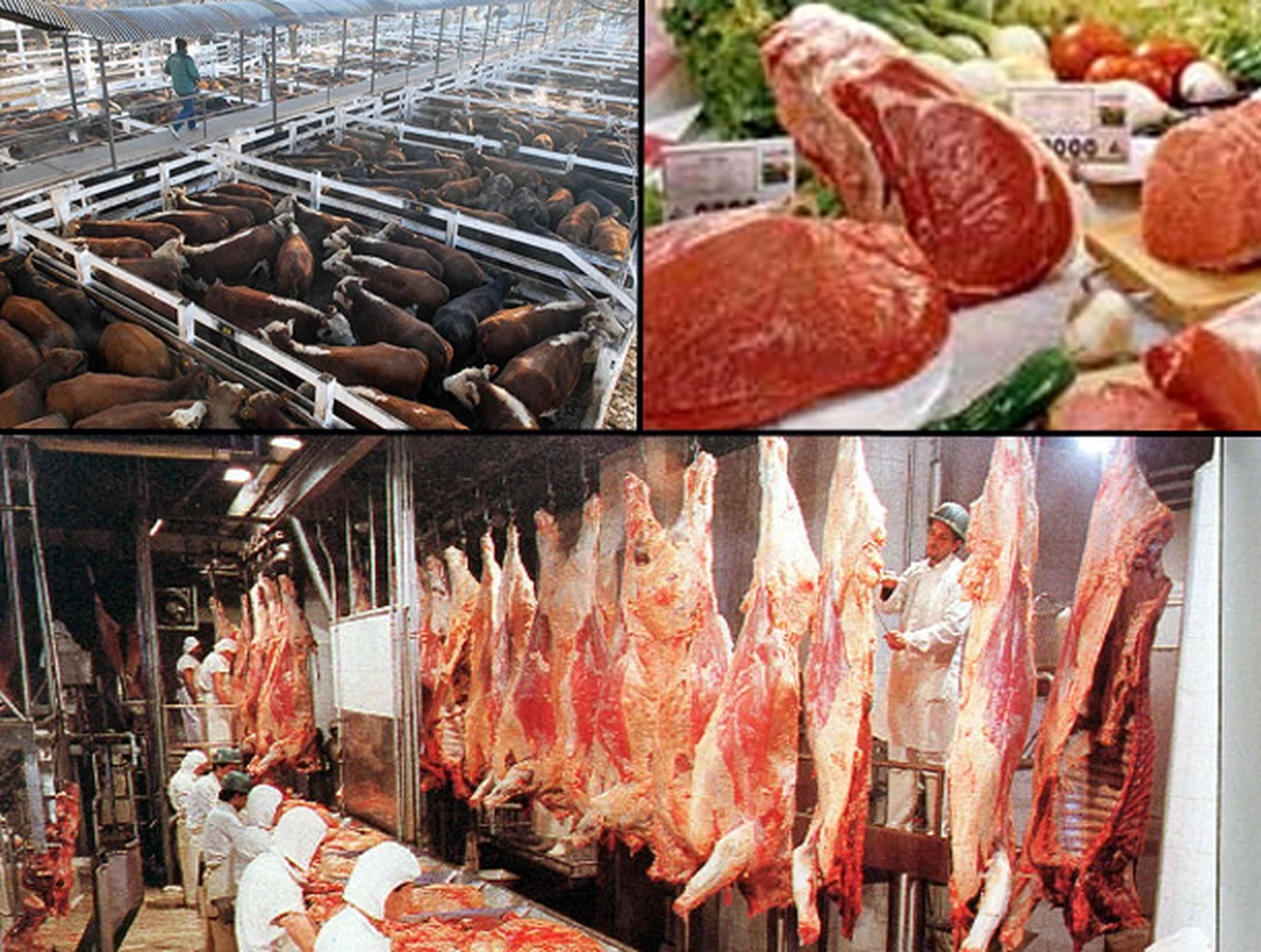 La exportación de carne argentina cayó al menor valor en los últimos 10 años