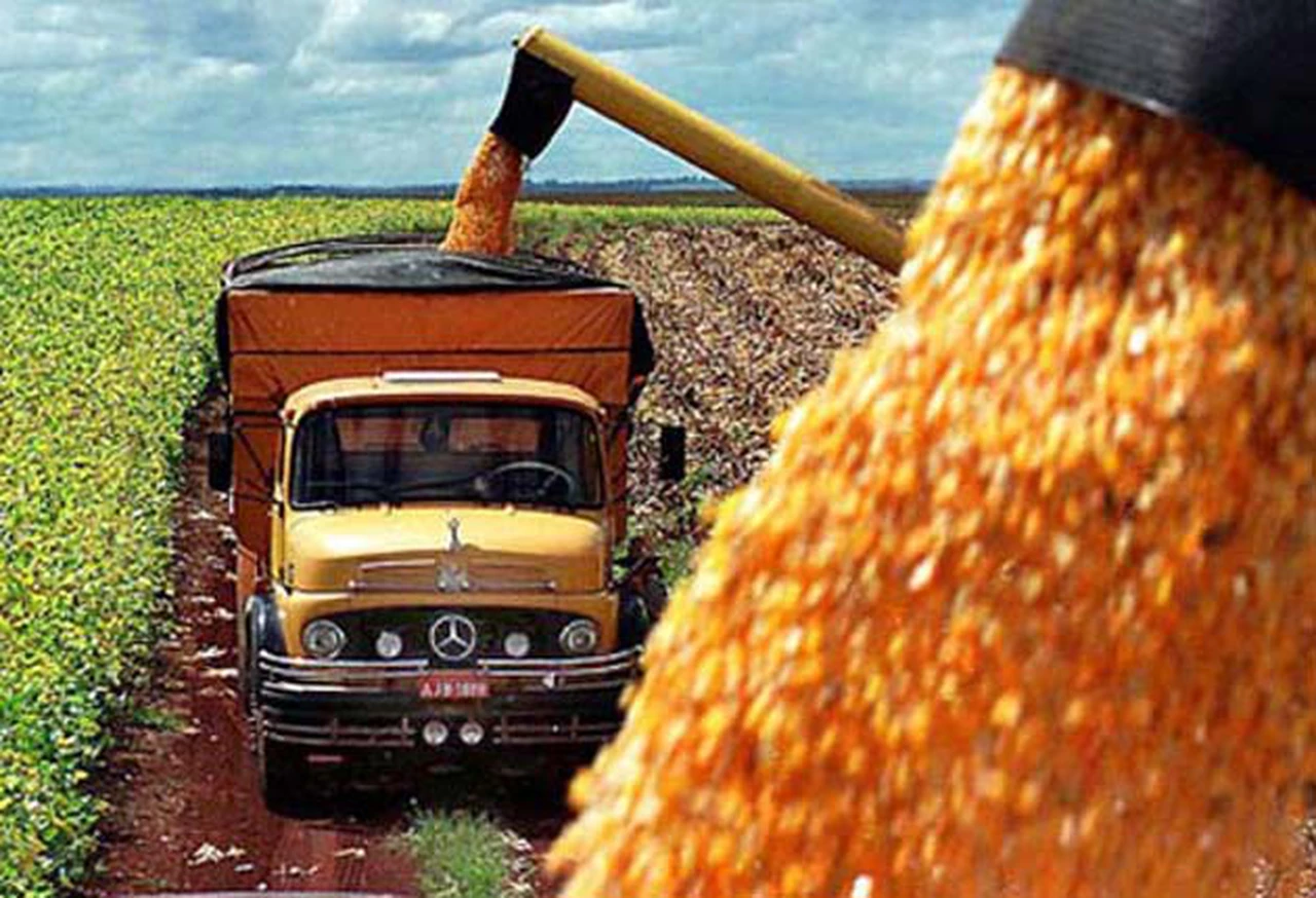 Agricultura cambió la metodologí­a para calcular el consumo interno de maí­z
