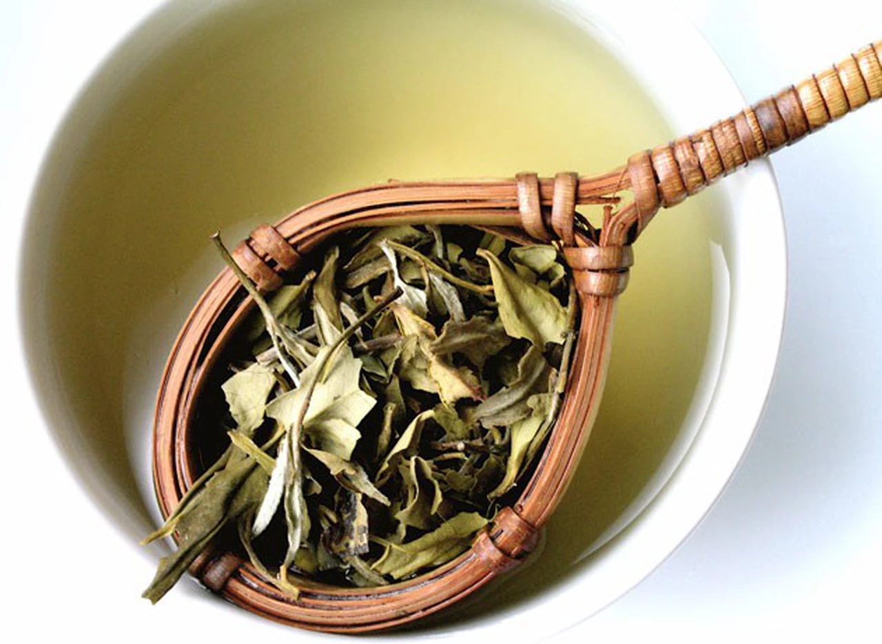 Cuatro consejos para reutilizar las hebras de té y ayudar a cuidar el medioambiente