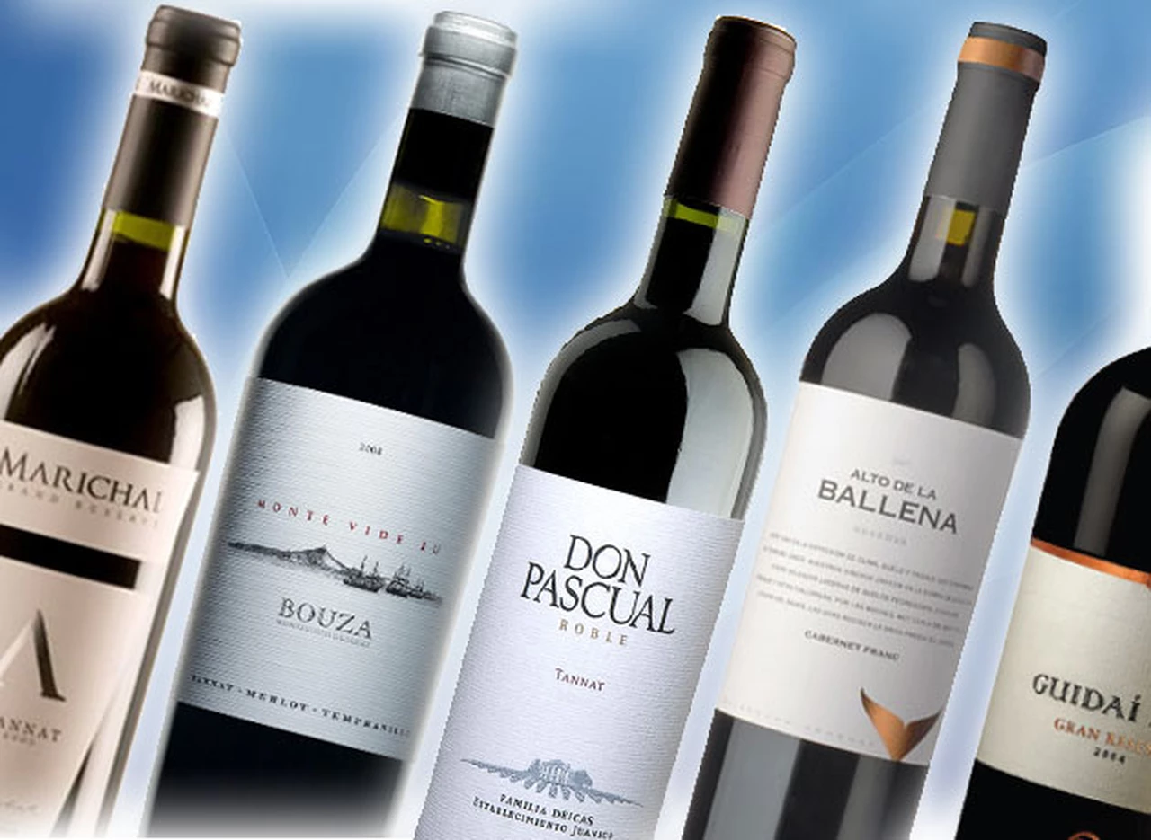 Aquí­ están, estos son 25 de los mejores vinos uruguayos que no se pueden dejar de probar 