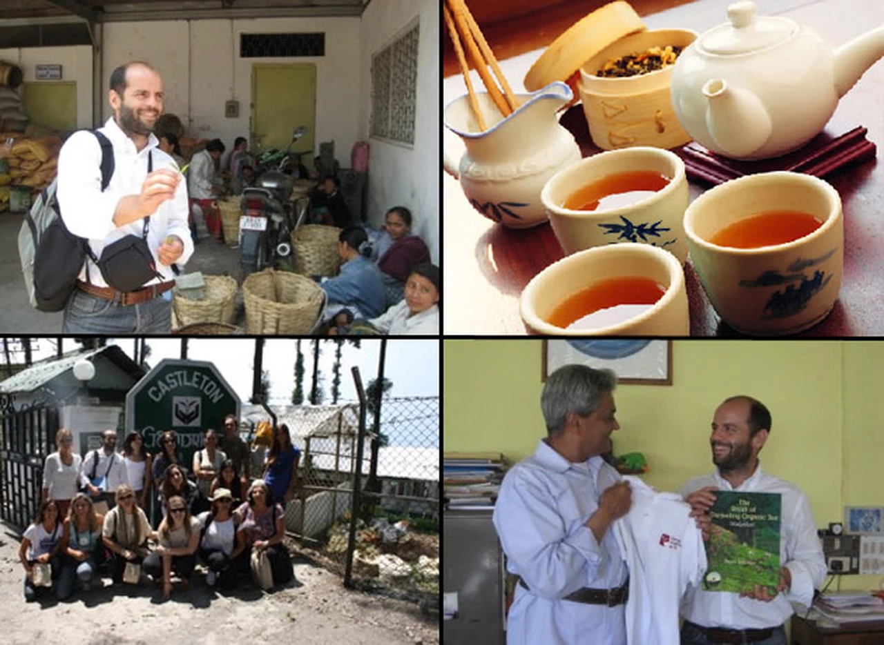Tras ir a India, el TeaMaster Diego Morlachetti cuenta la experiencia: "Donde está el té pasa algo"