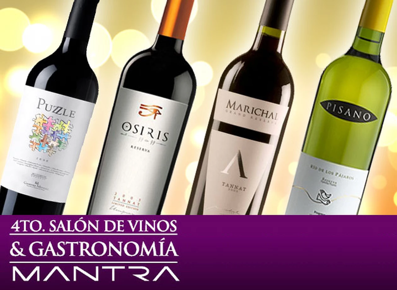Vinos recomendados: 20 de los mejores vinos de Uruguay que no se pueden pasar por alto