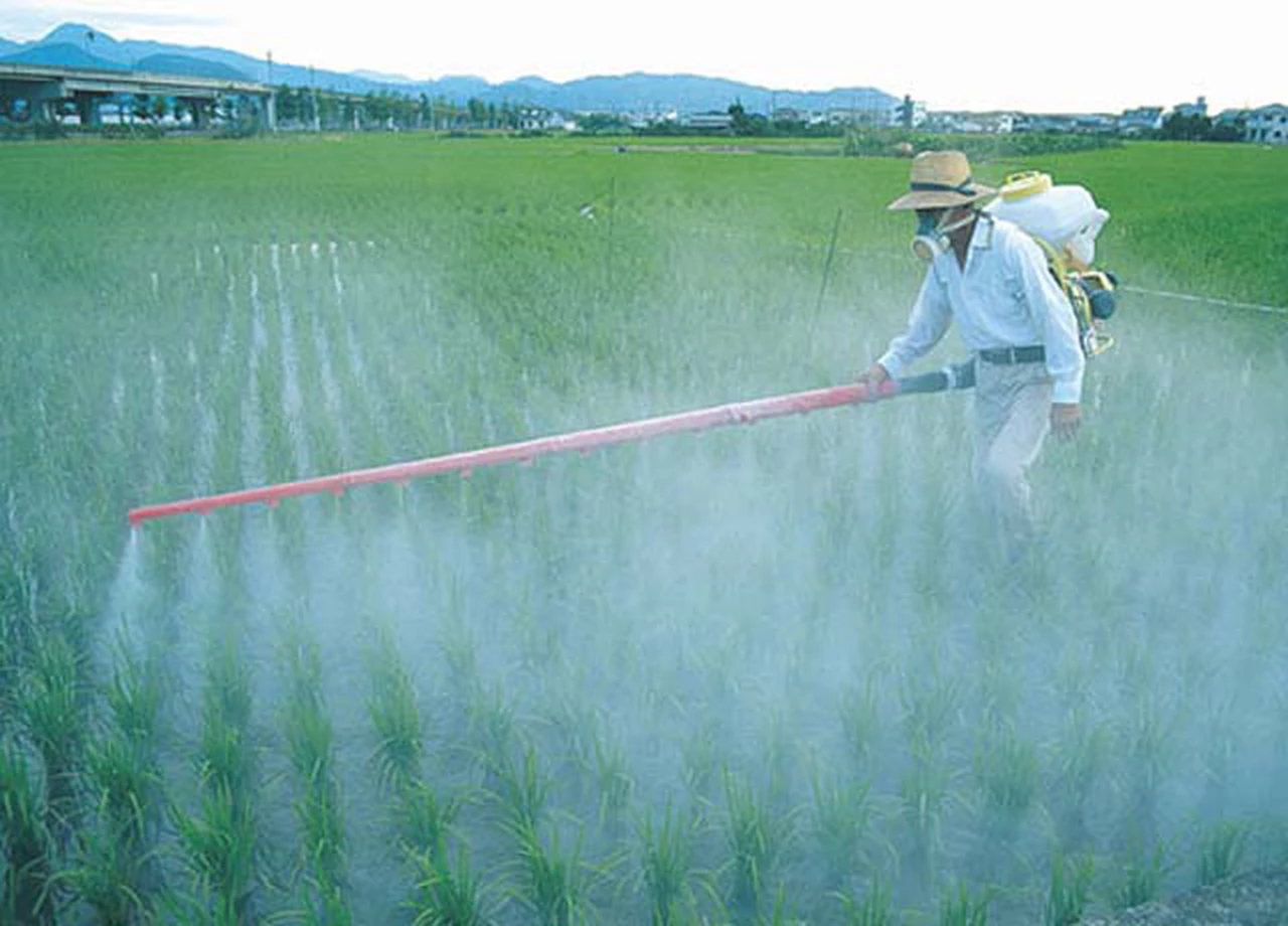Declaran "sustancia cancerí­gena" al herbicida más utilizado en la Argentina