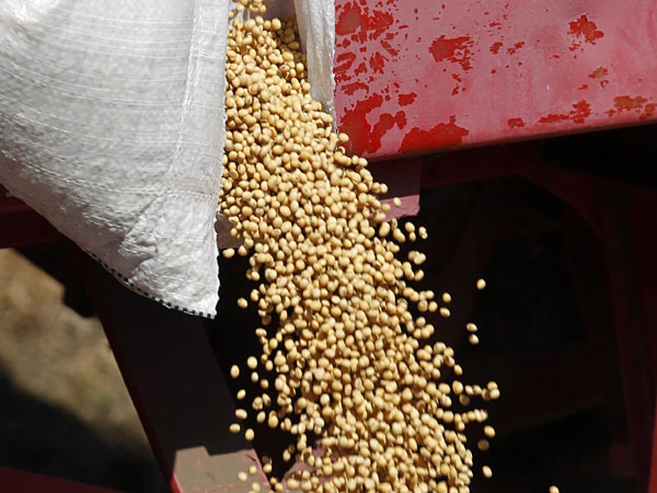 Agricultura confirmó que espera una cosecha récord de 59 millones de toneladas de soja