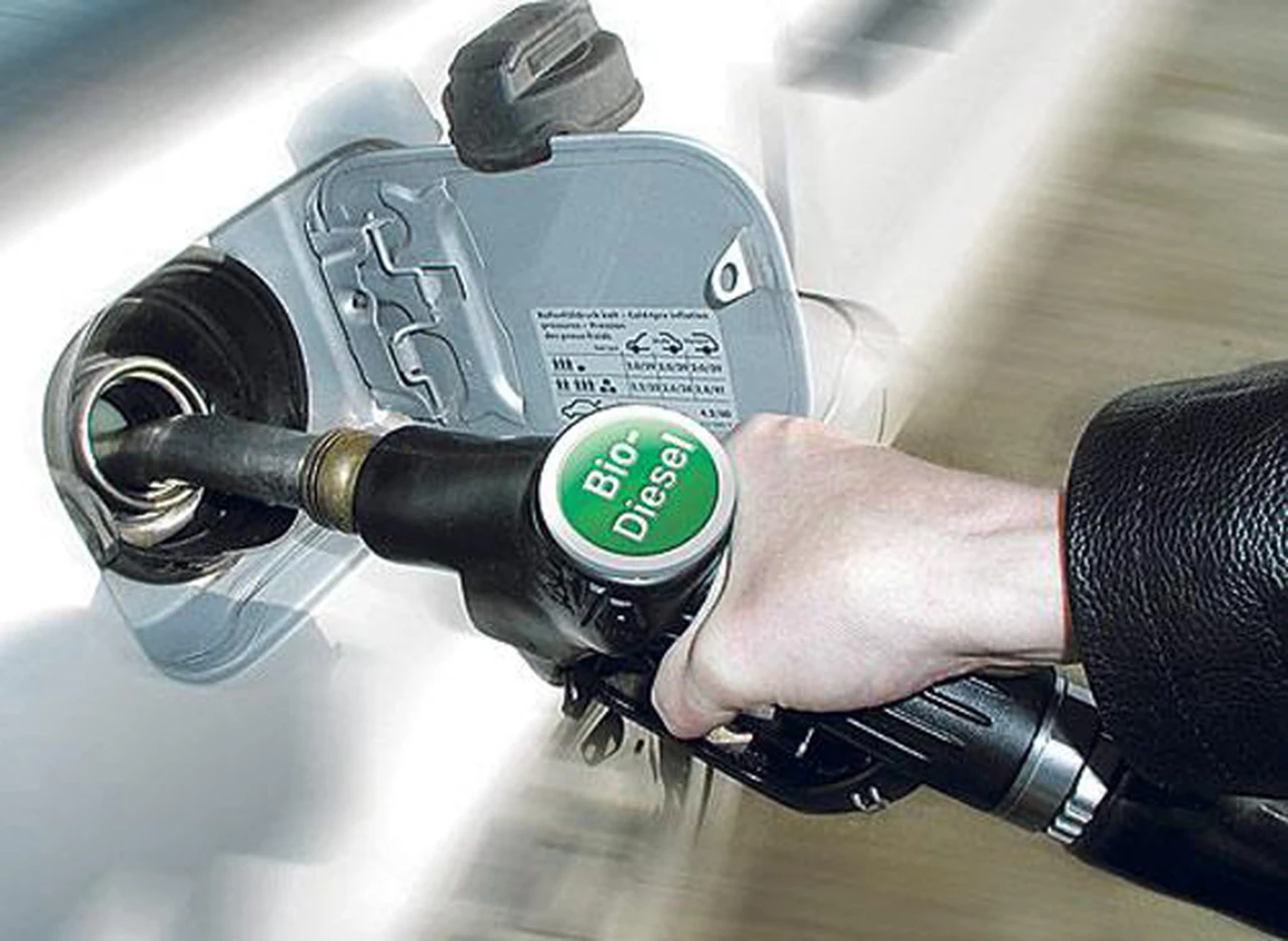 Dan luz verde para tratar la eximición del impuesto al biodiesel en el Congreso