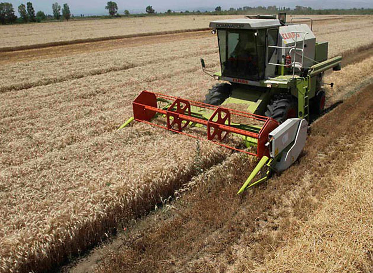 La cosecha de trigo crecerá un 14% respecto del año pasado