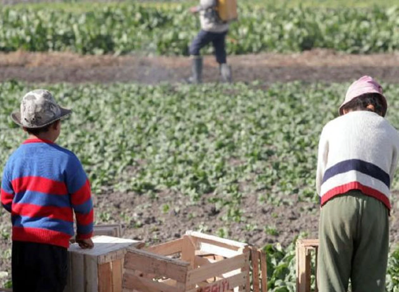 Argentina recibió a expertos del mundo para erradicar el trabajo infantil 