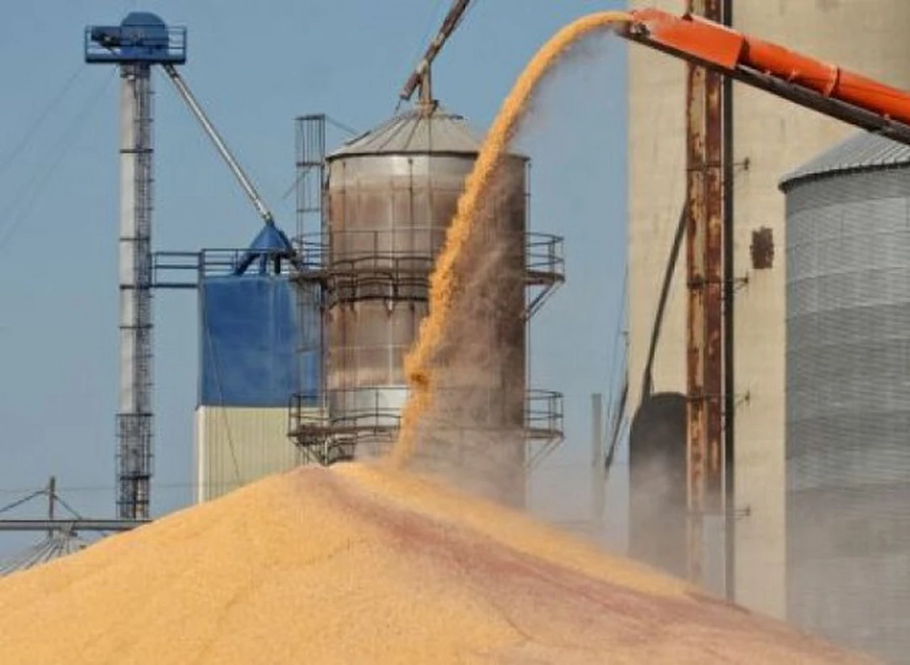 Autorizan a la Bolsa de Comercio de Chaco a operar cereales y oleaginosas