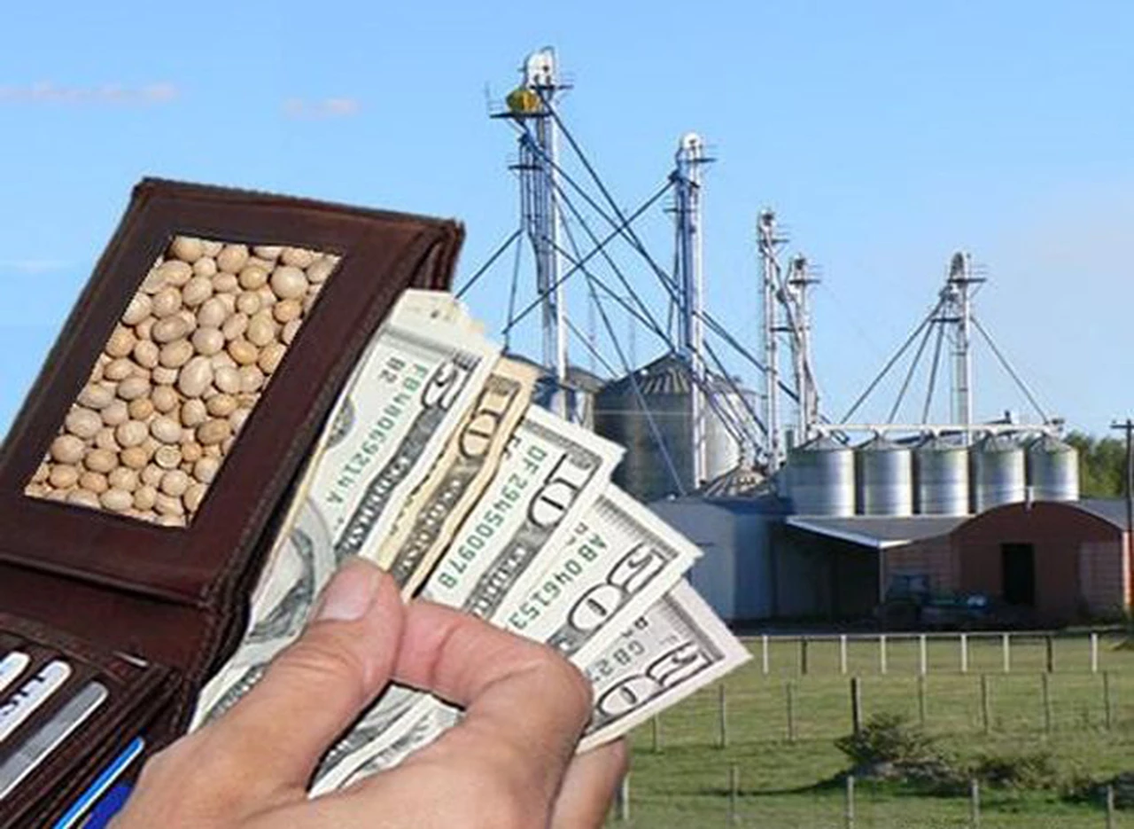 El ingreso de dólares de las cerealeras cayó en u$s1.400 M en el primer trimestre